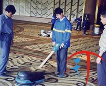 自贡清洗地毯服务项目